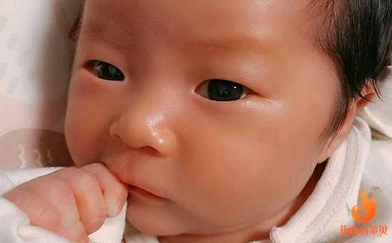 台州世纪代怀孕地址_试管婴儿过程中卵泡监测有什么作用呢?