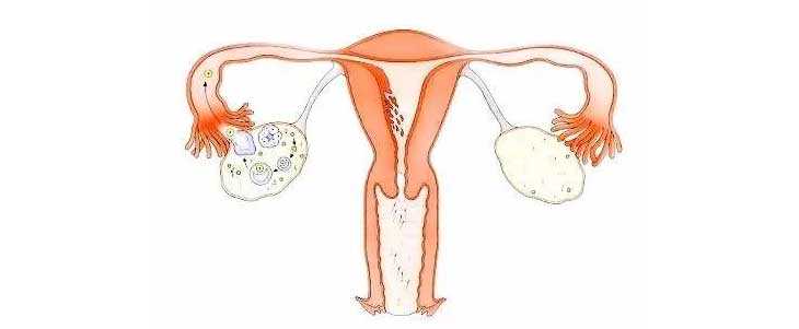 生完孩子宫颈切除_试管染色体有异常_试管婴儿对女性的伤害大吗