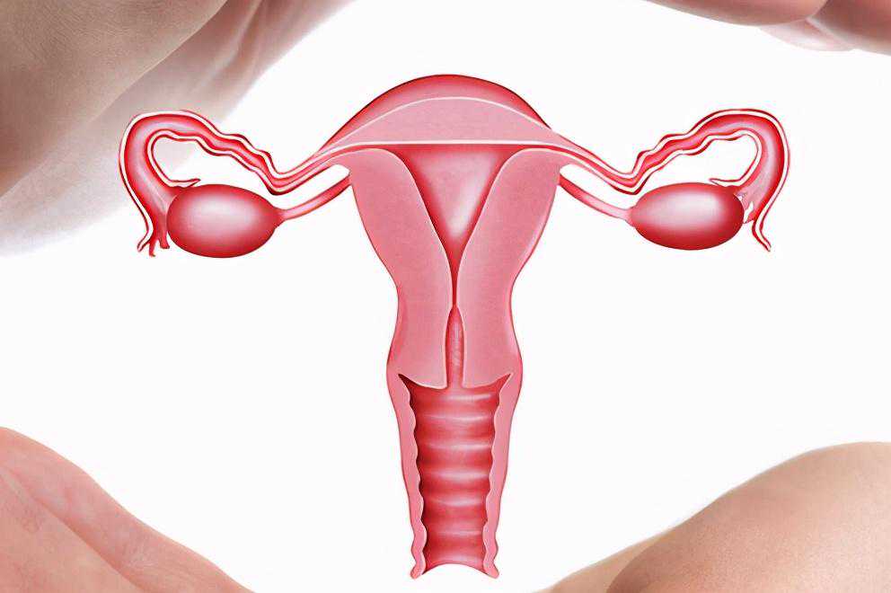 输卵管检查-备孕不得不知道的那些事