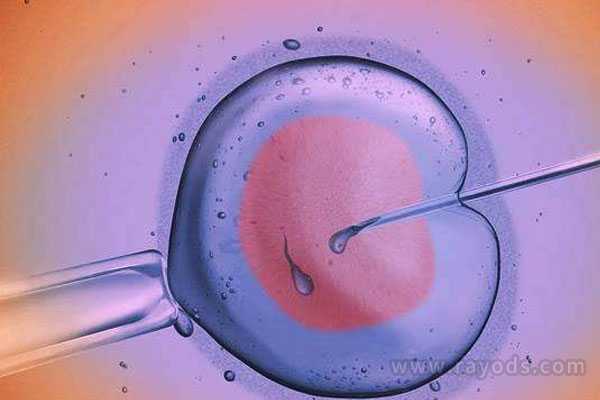 疑染色体异常流产_生宝宝时切除子宫_试管长方案降调要多久长方案有哪些优势