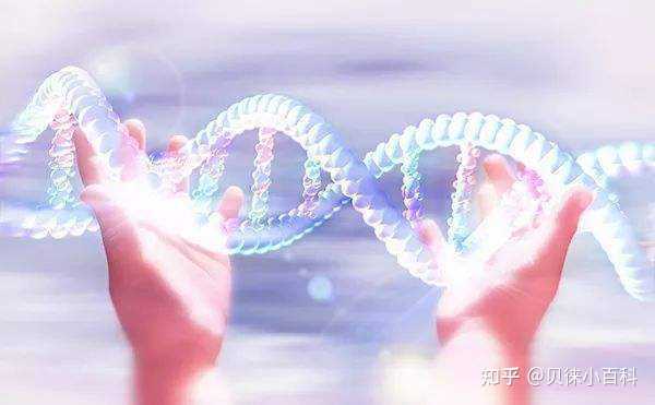 2023郑州供卵的私立机构最新发布，附供卵三代生男孩费用详情-甲胎蛋白是检查